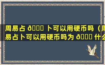 周易占 🐈 卜可以用硬币吗（周易占卜可以用硬币吗为 💐 什么）